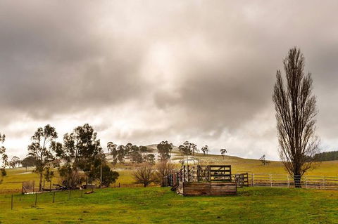 Paddock To Plate Farm Tour And Tasting - Sydneys Hotel 0