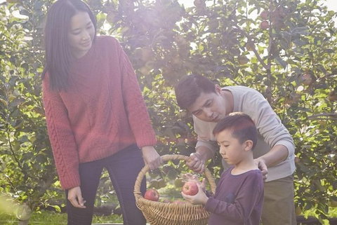 Blue Mountains Botanic Garden And Bilpin Tour From Katoomba With Cider Tasting - Sydneys Hotel 1