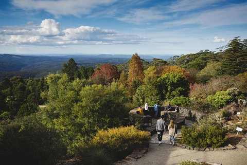 Blue Mountains Botanic Garden And Bilpin Tour From Katoomba With Cider Tasting - Sydneys Hotel 5