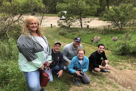 Full-Day Guided Tour Of Blue Mountains With Pick Up - Sydneys Hotel 2