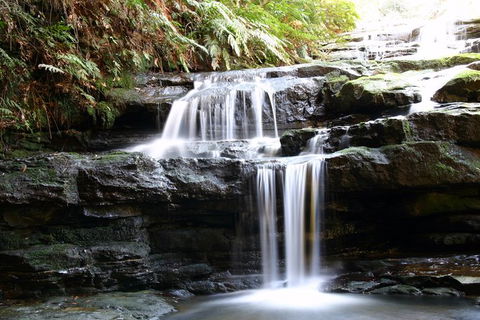 Private 10-hour Tour To Blue Mountains From Sydney - Hotel Pick Up & Drop Off - Sydneys Hotel 6