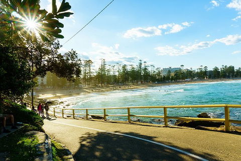 Sydney With Bondi And Beaches Essentials Private Day Tour - Sydneys Hotel 8