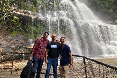 Blue Mountains Highlights & Wildlife Park - Sydneys Hotel 4