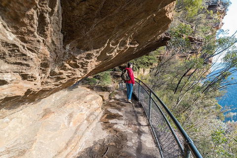 Blue Mountains Highlights & Wildlife Park - Sydneys Hotel 0