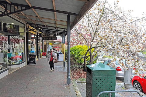 Blue Mountains Highlights & Wildlife Park - Sydneys Hotel 2