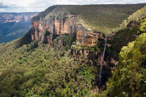 Blue Mountains Highlights & Wildlife Park - Sydneys Hotel 9