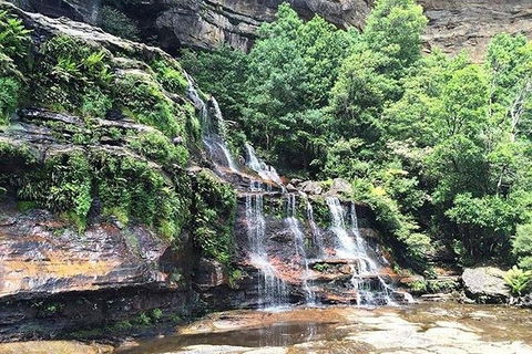 Blue Mountains Highlights & Wildlife Park - Sydneys Hotel 8