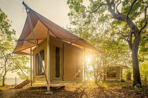 5 Day Kakadu National Park And Arnhem Land Tour - Sydneys Hotel 7