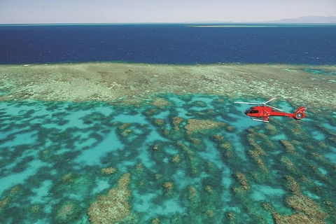Ultimate Great Barrier Reef And Rainforest 45-minute Helicopter Tour - Sydneys Hotel 2