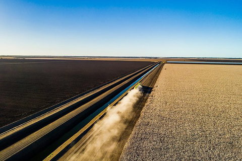 Discover Farming In Goondiwindi - Sydneys Hotel 1