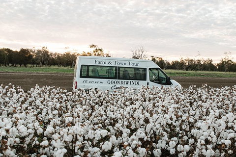 Discover Farming In Goondiwindi - Sydneys Hotel 8