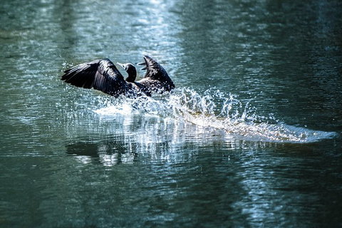 Discover Farming In Goondiwindi - Sydneys Hotel 5