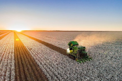 Discover Farming In Goondiwindi - Sydneys Hotel 7