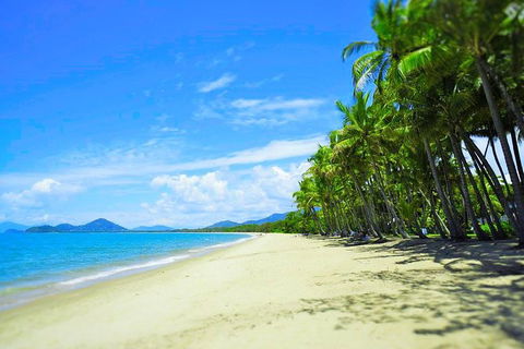 Airport Transfer - Palm Cove, Kewarra Beach & Trinity Beach To Cairns Airport - Sydneys Hotel 2