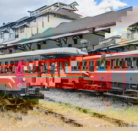 Mary Valley Rattler The Rattler Tasting Train