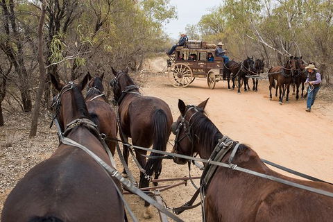 Cobb And Co Stagecoach Experience - Sydneys Hotel 1