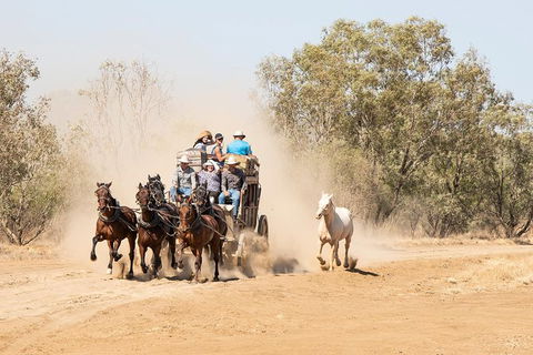 Cobb And Co Stagecoach Experience - Sydneys Hotel 0