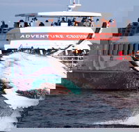 Half-Day Whale Watching in Urangan