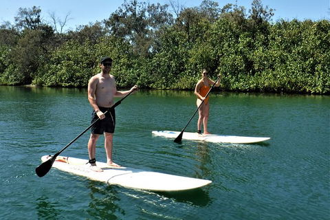 Paddle Board Hire In Surfers Paradise - Sydneys Hotel 2