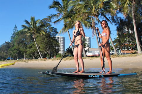 Paddle Board Hire In Surfers Paradise - Sydneys Hotel 1
