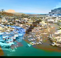 Explore Townsville 7 Hour Guided River Mountain and City Tour