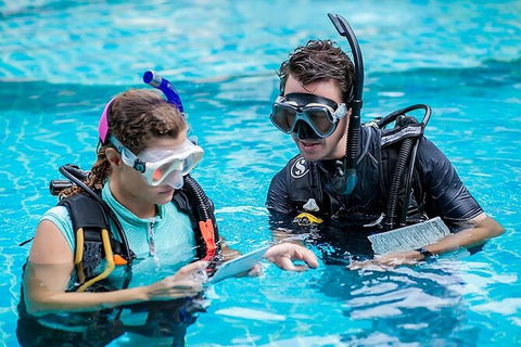 PADI Diving Courses On The Gold Coast - Sydneys Hotel 0