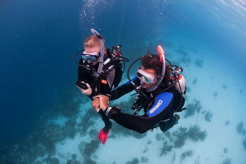 PADI Diving Courses On The Gold Coast - Sydneys Hotel 5