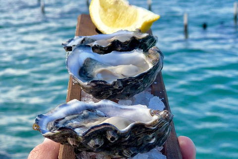 Coffin Bay Oysters, Ocean & Nature Tour - Sydneys Hotel 0