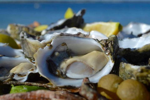 Coffin Bay Oysters, Ocean & Nature Tour - Sydneys Hotel 8