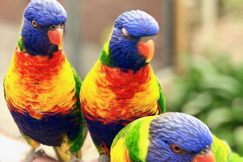 Coffin Bay Oysters, Ocean & Nature Tour - Sydneys Hotel 9