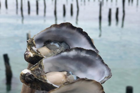 Coffin Bay Oysters, Ocean & Nature Tour - Sydneys Hotel 6