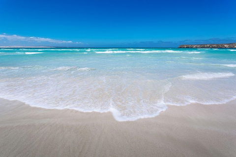 Coffin Bay Oysters, Ocean & Nature Tour - Sydneys Hotel 14