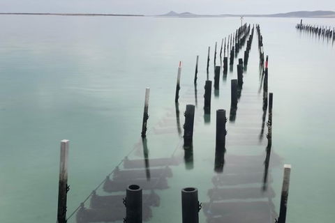 Coffin Bay Oysters, Ocean & Nature Tour - Sydneys Hotel 15
