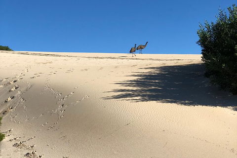 Coffin Bay Oysters, Ocean & Nature Tour - Sydneys Hotel 4