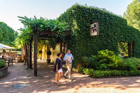 Yalumba Nursery & Grenache Discovery Tour + Platter Lunch - Sydneys Hotel 3