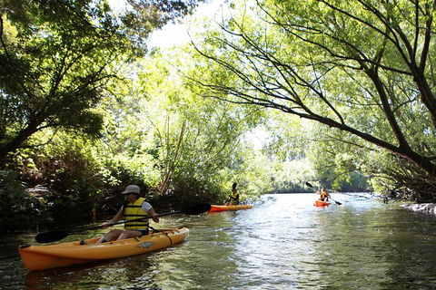 Paddle With The Platypus Twilight Kayak Adventure - Sydneys Hotel 0