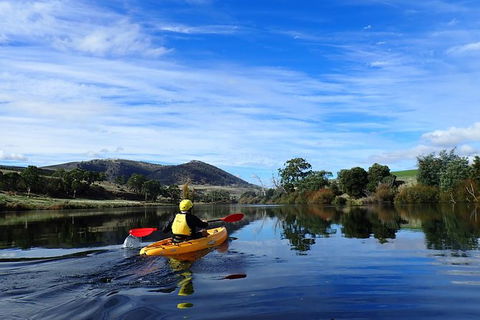 Paddle With The Platypus Twilight Kayak Adventure - Sydneys Hotel 5