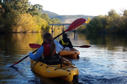 Paddle With The Platypus Twilight Kayak Adventure - Sydneys Hotel 1