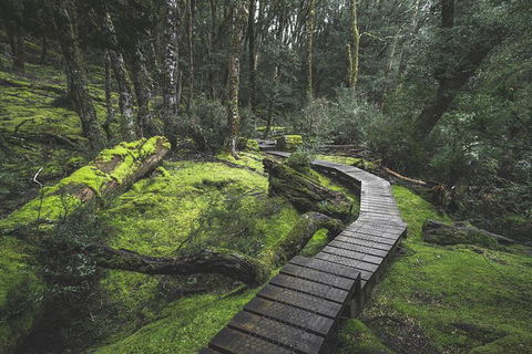 Shore Excursion - Cradle Mountain Day Tour From Burnie - Sydneys Hotel 2