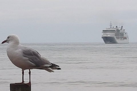 Cruise Ship Excursion: Stanley - Sydneys Hotel 9