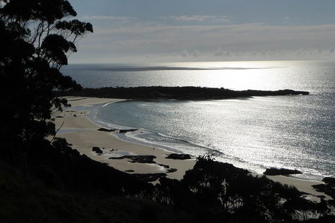 Cruise Ship Excursion: Stanley - Sydneys Hotel 24