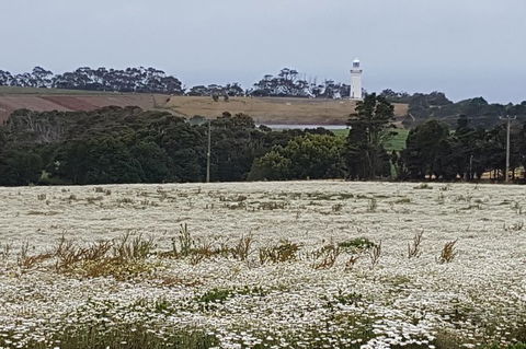 Cruise Ship Excursion: NW Tassie Coastal Explorer - Sydneys Hotel 14