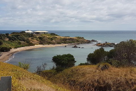 Cruise Ship Excursion: NW Tassie Coastal Explorer - Sydneys Hotel 13