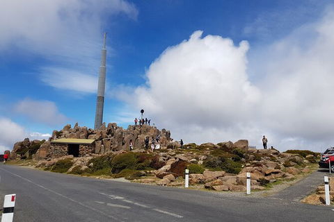Mt. Wellington Morning Hike + Afternoon Beer & History Walk - Sydneys Hotel 21