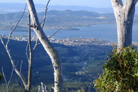 Mt. Wellington Morning Hike + Afternoon Beer & History Walk - Sydneys Hotel 10