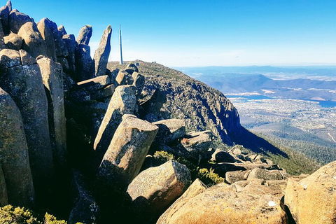 Mt. Wellington Morning Hike + Afternoon Beer & History Walk - Sydneys Hotel 11