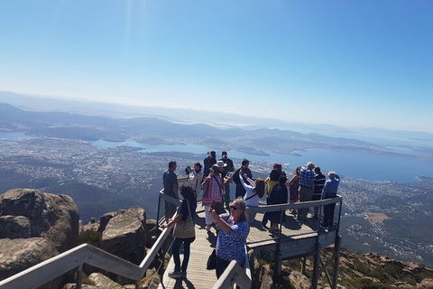Mt. Wellington Morning Hike + Afternoon Beer & History Walk - Sydneys Hotel 2
