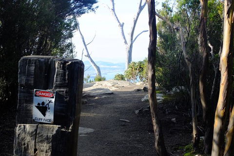 Mt. Wellington Morning Hike + Afternoon Beer & History Walk - Sydneys Hotel 14