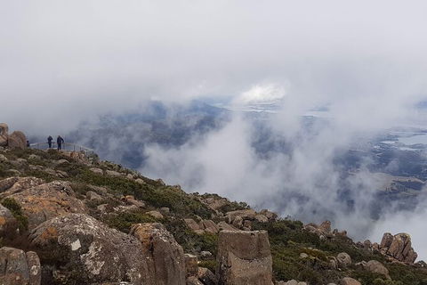 Mt. Wellington Morning Hike + Afternoon Beer & History Walk - Sydneys Hotel 18