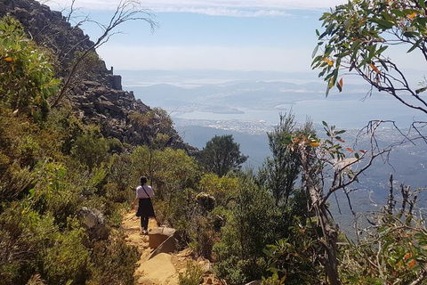 Mt. Wellington Morning Hike + Afternoon Beer & History Walk - Sydneys Hotel 1